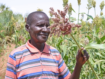 Millet Farming in Turkana